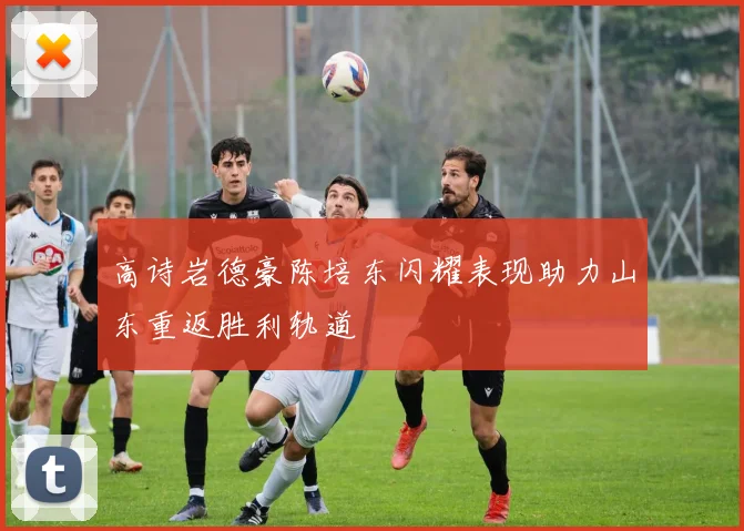 高诗岩德豪陈培东闪耀表现助力山东重返胜利轨道