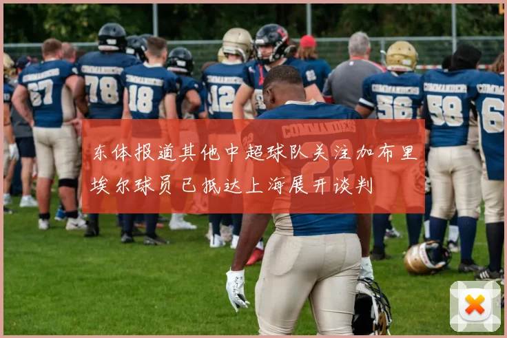 东体报道其他中超球队关注加布里埃尔球员已抵达上海展开谈判