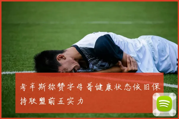 考辛斯称赞字母哥健康状态依旧保持联盟前五实力